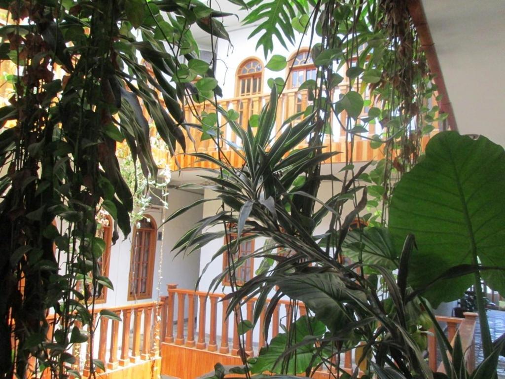 Hotel Guzman Xilitla Exteriör bild