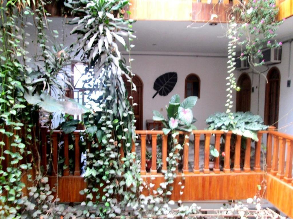 Hotel Guzman Xilitla Exteriör bild